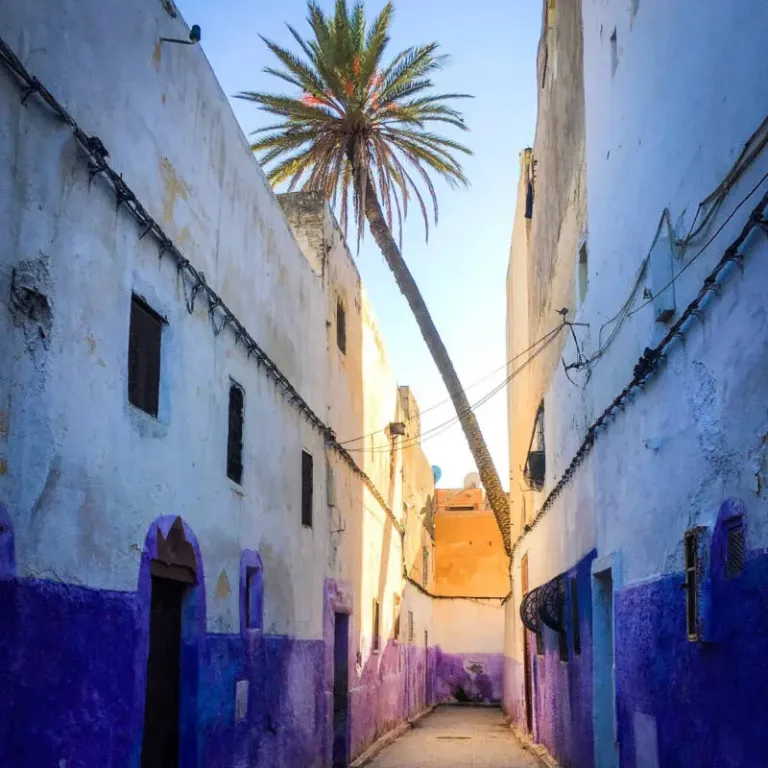 requisitos para viajar a marrakech